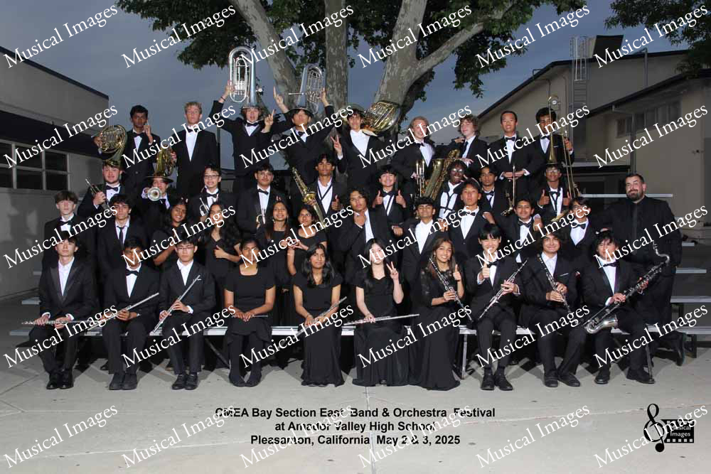 Musical Images